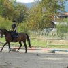 Babie Lato 2016